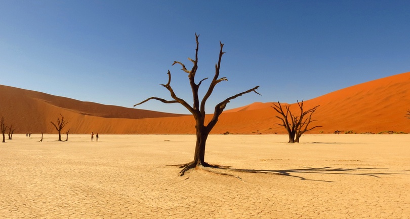 Deadvlei