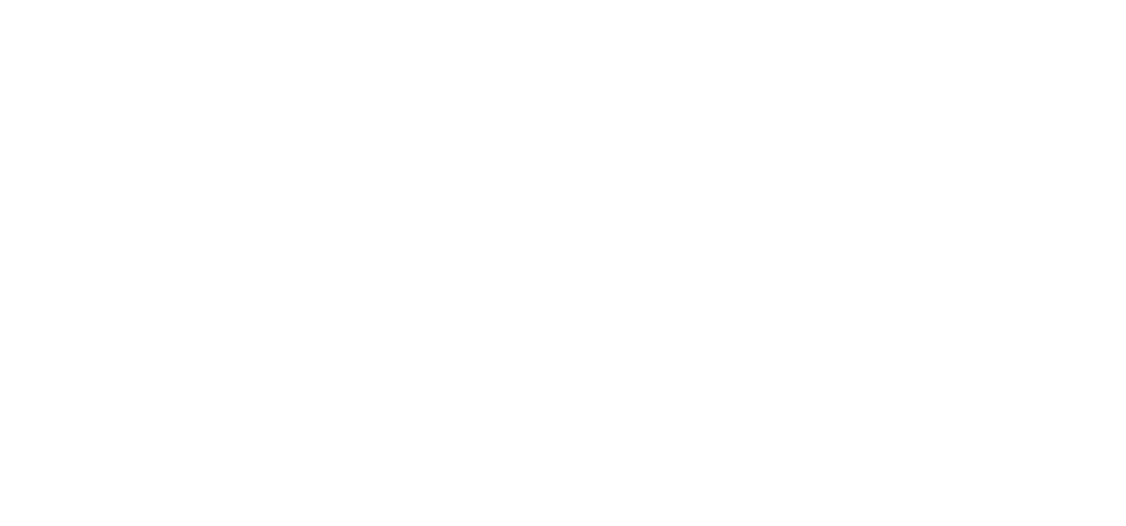 Irland Logo white