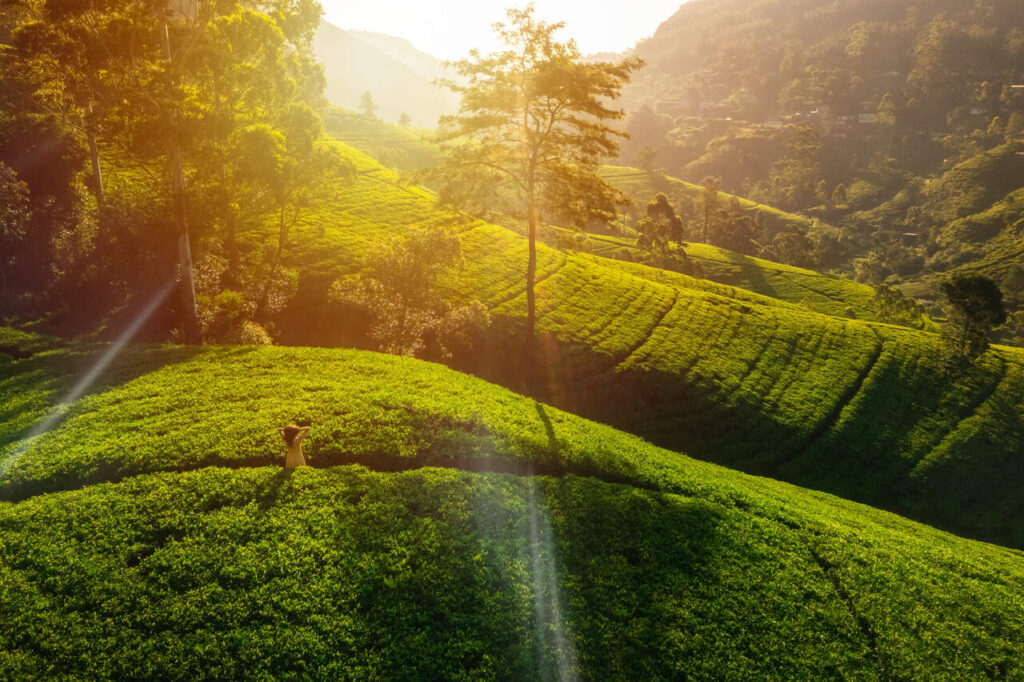 Sri Lanka