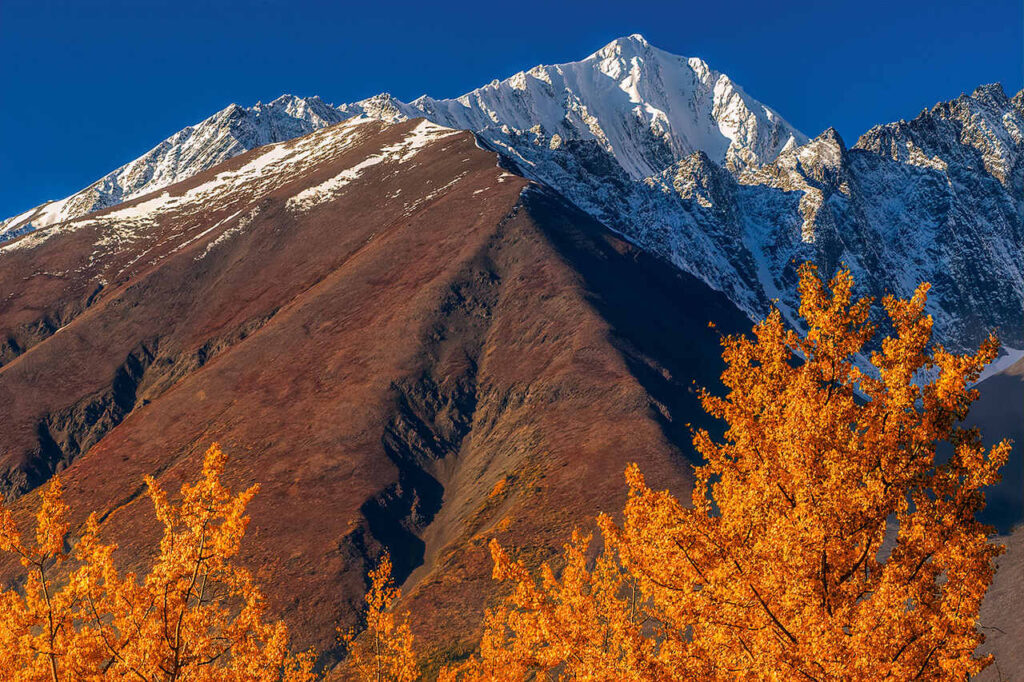Fotoreise Alaska