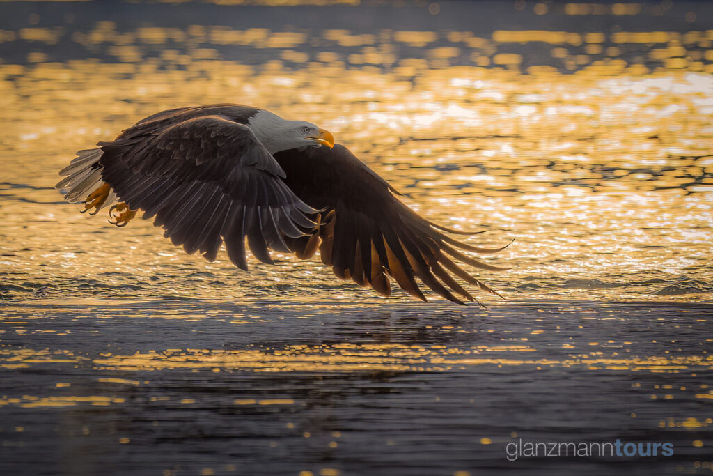 Fotoreise Alaska