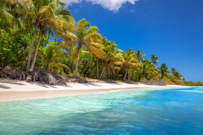 Isla Saona Dominikanische Republik