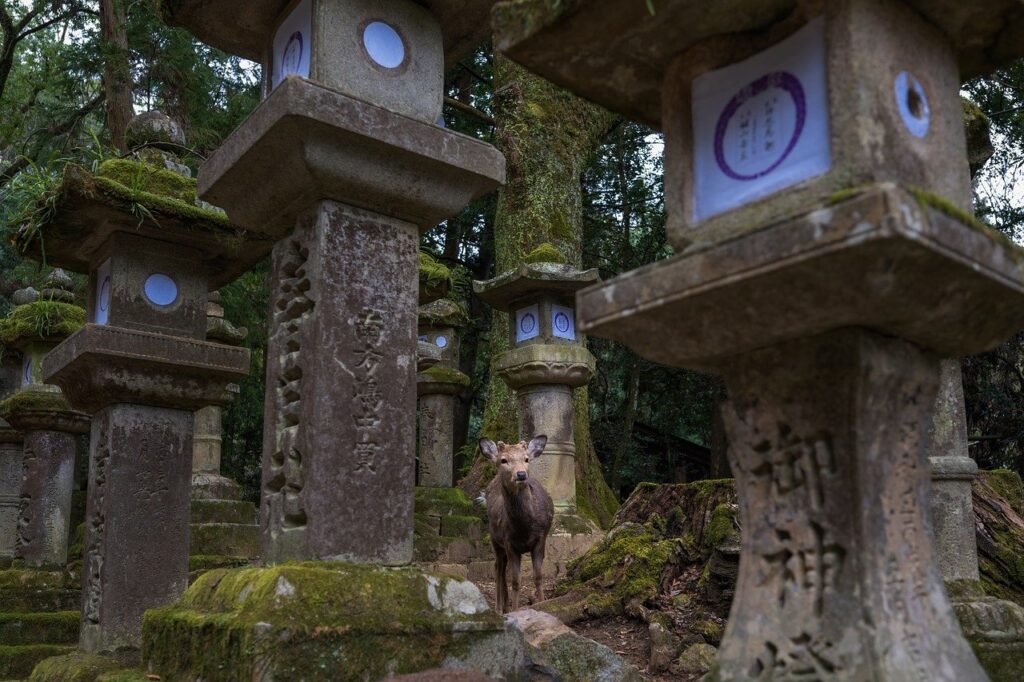 Nara Japan