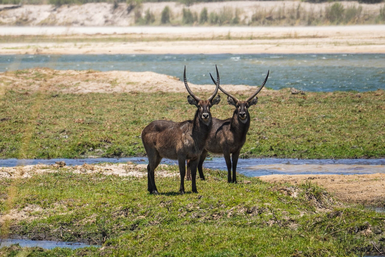 Namibia Bwabwata