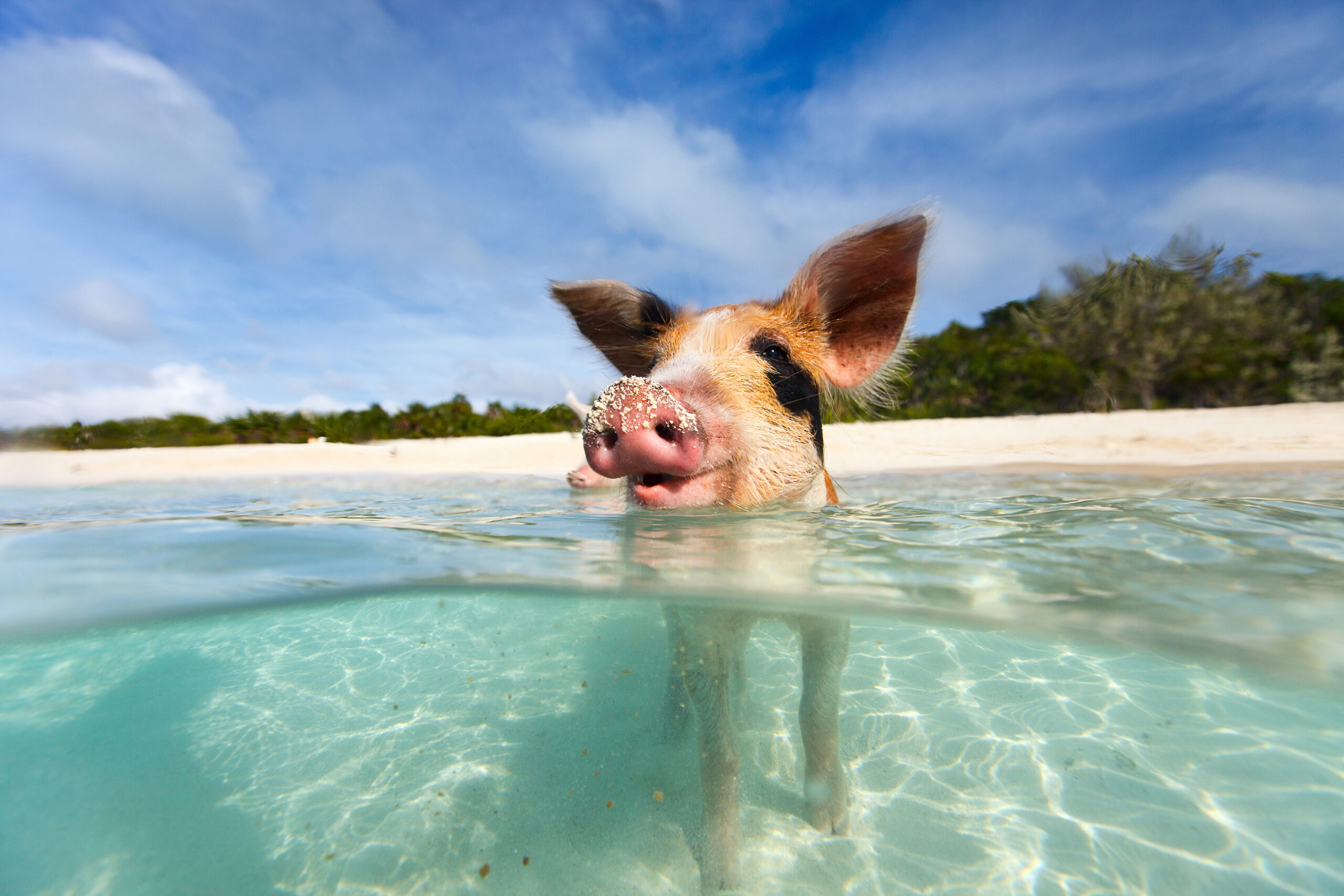 Bahamas Familienurlaub