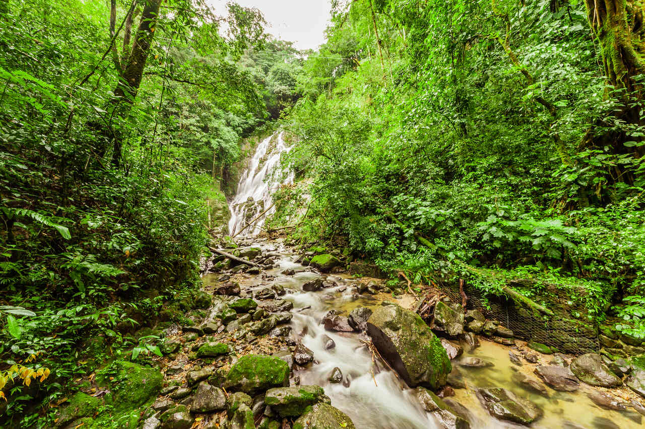 Panama Nationalpark