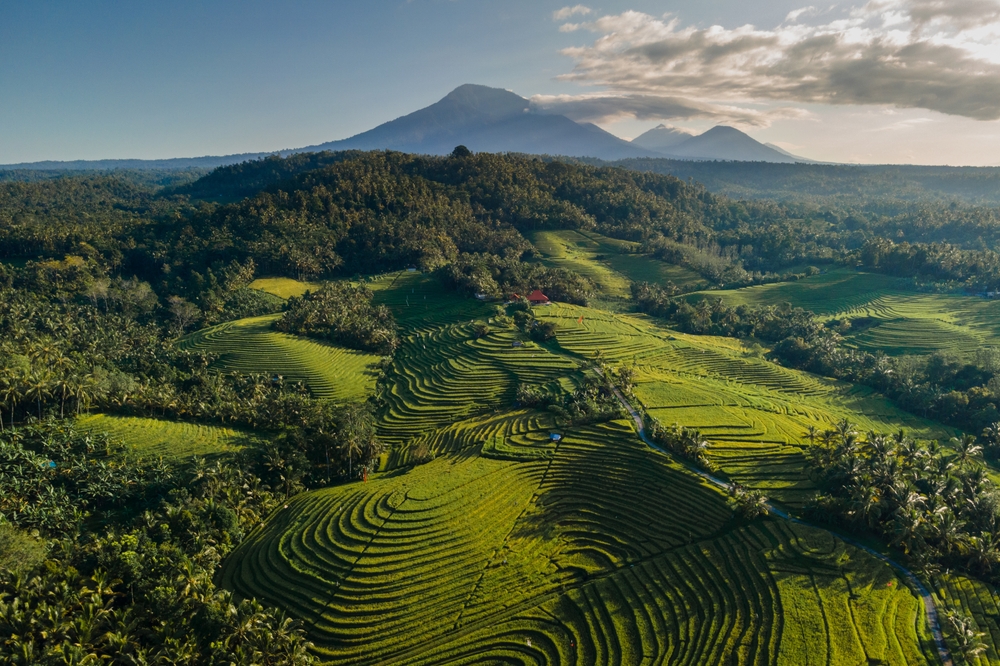 Ubud Bali