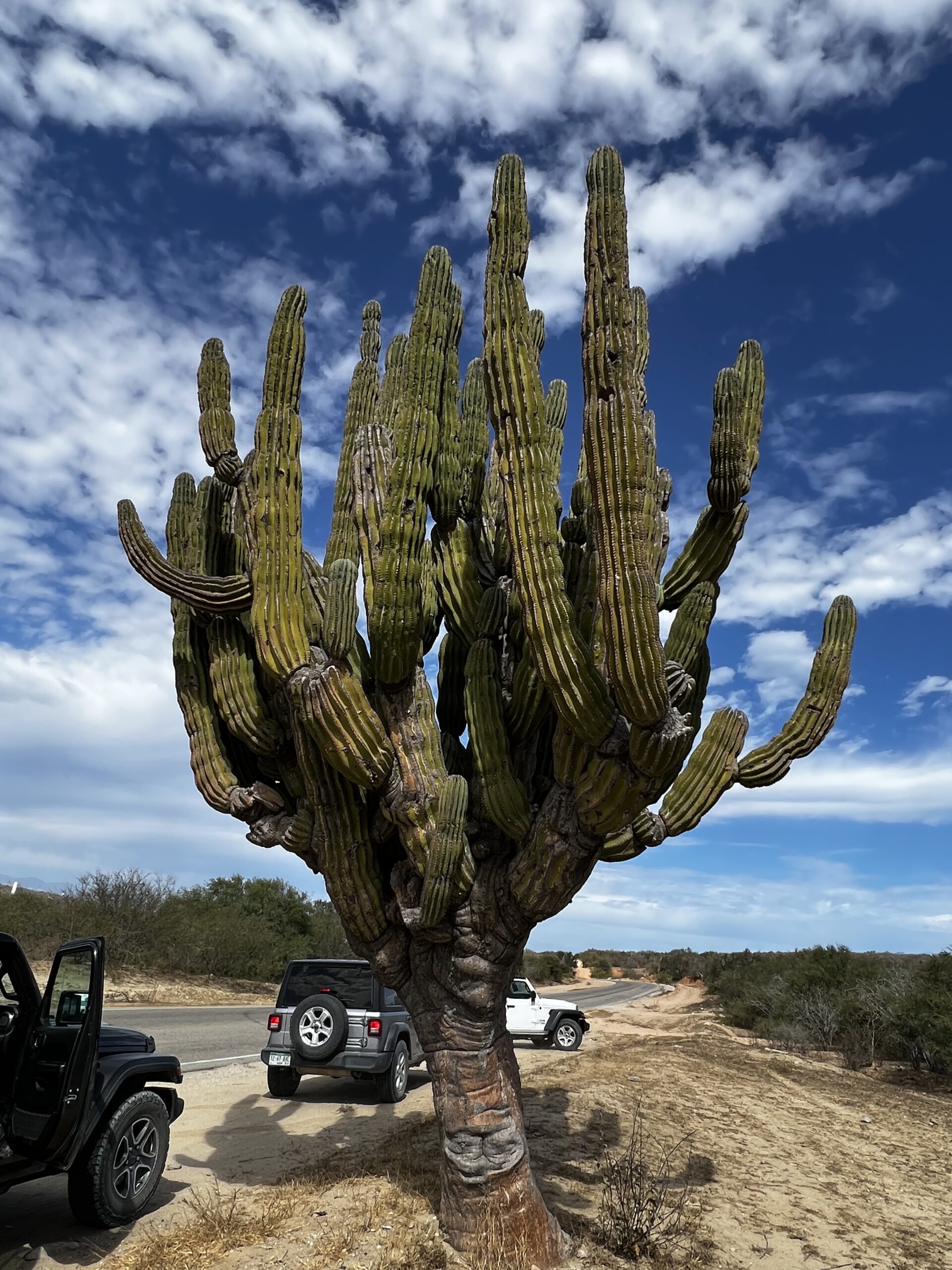 Los Cabos | Einmal um den Globus Der Reisepodcast