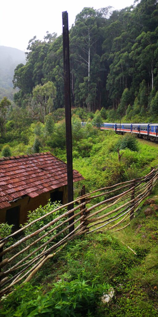 Sri Lanka | Einmal um den Globus Der Reisepodcast