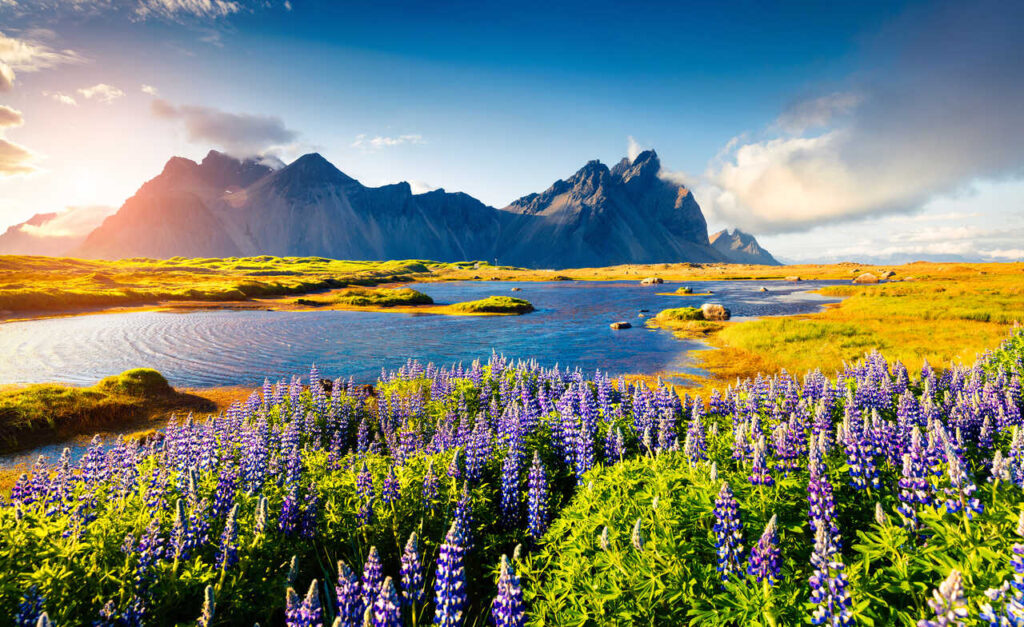 Island Sommer