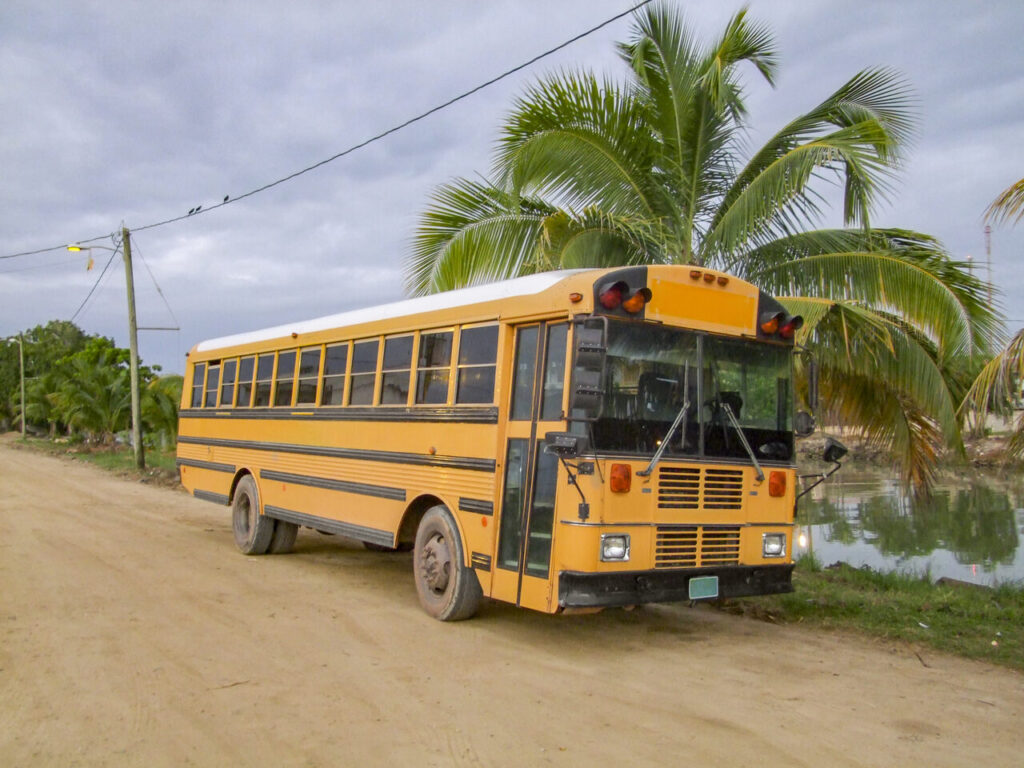 Belize Bus