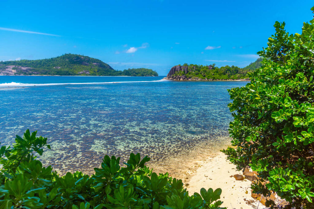 Copolia Trail (Mahé)
