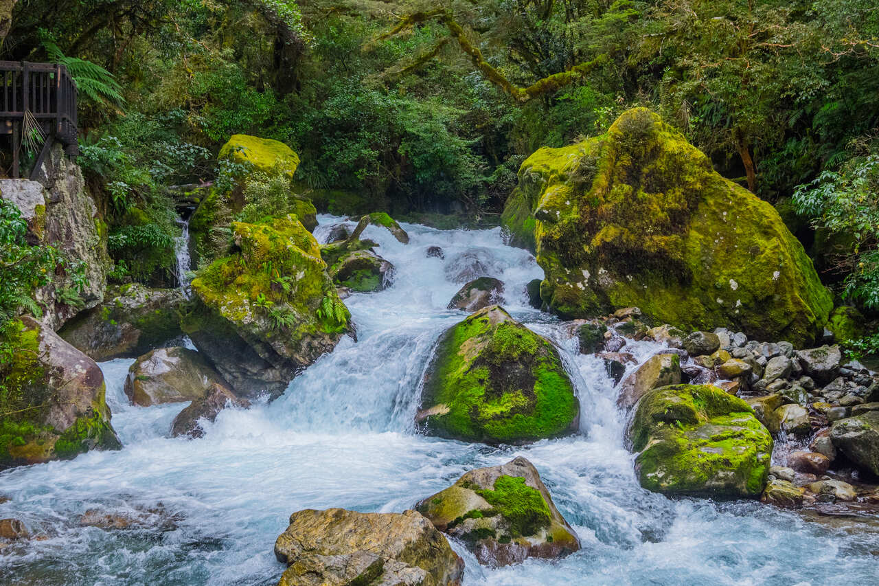 Neuseeland Lake Marian