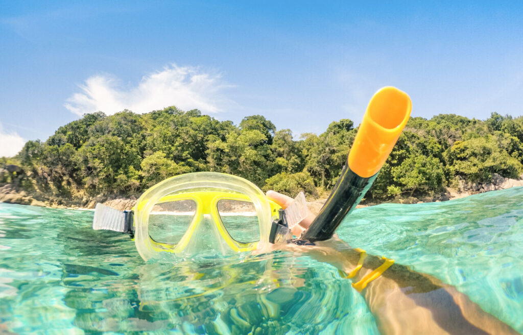 Seychellen Schnorcheln
