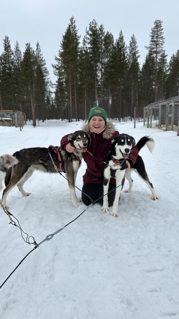 Hundeschlitten husky Levi Ylläs Finnland