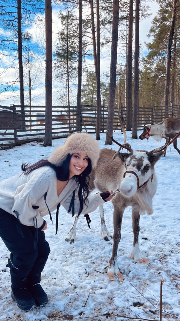 Rentierfarm Ylläs Levi Finnland