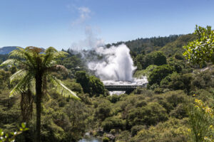 Pohutu-Geysir in Rotorua, Bay of Plenty, stößt heiße Dampfwolken in die Luft, umgeben von üppiger Vegetation und Farnen unter blauem Himmel.