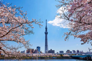 Tokio Tower