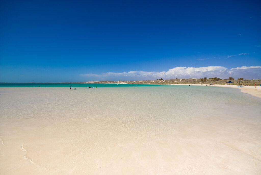 Coral Bay