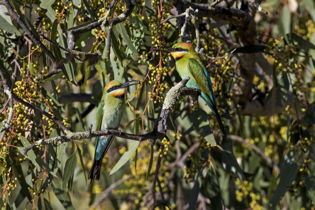 Kakadu Nationalpark