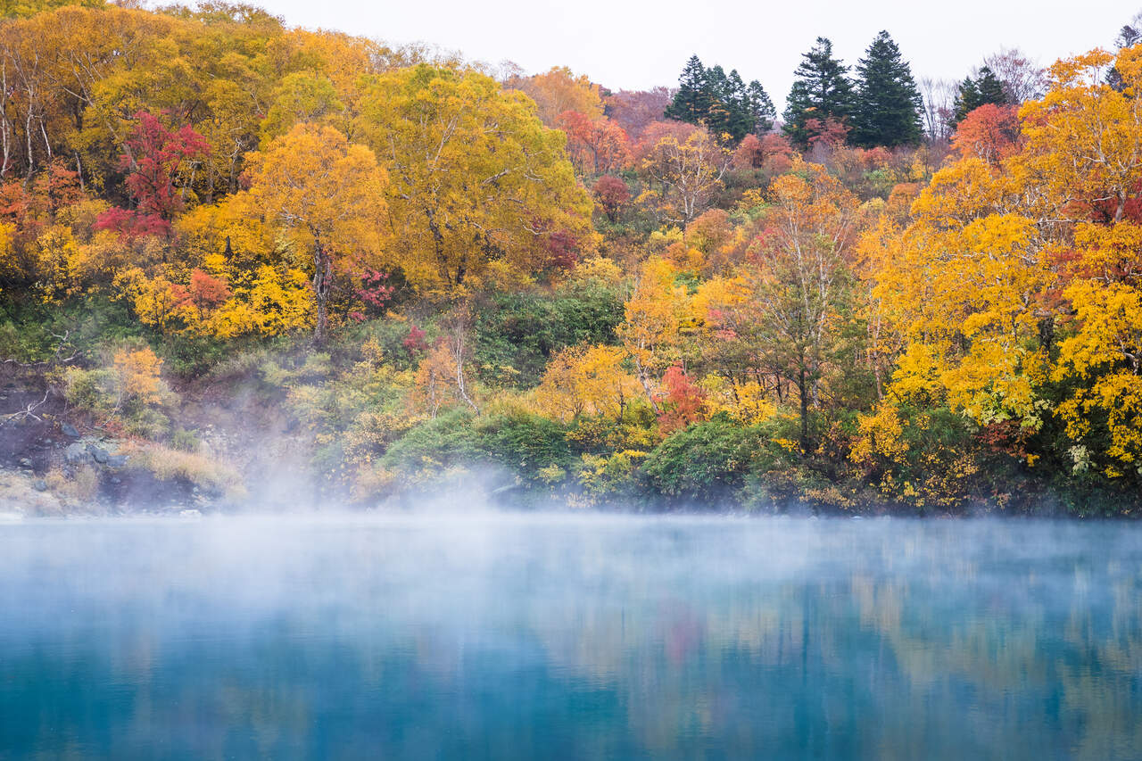 Onse Japan Herbst