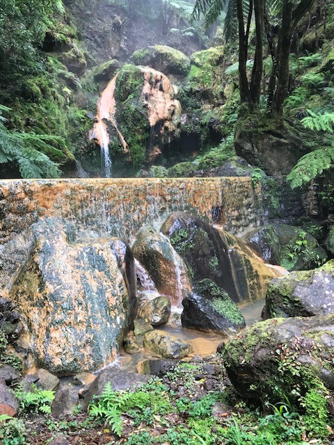 Azoren - Caldeira Velha, Sao Miguel