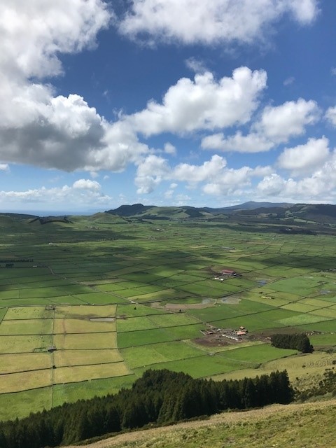 Azoren - typische Landschaft, Terceira