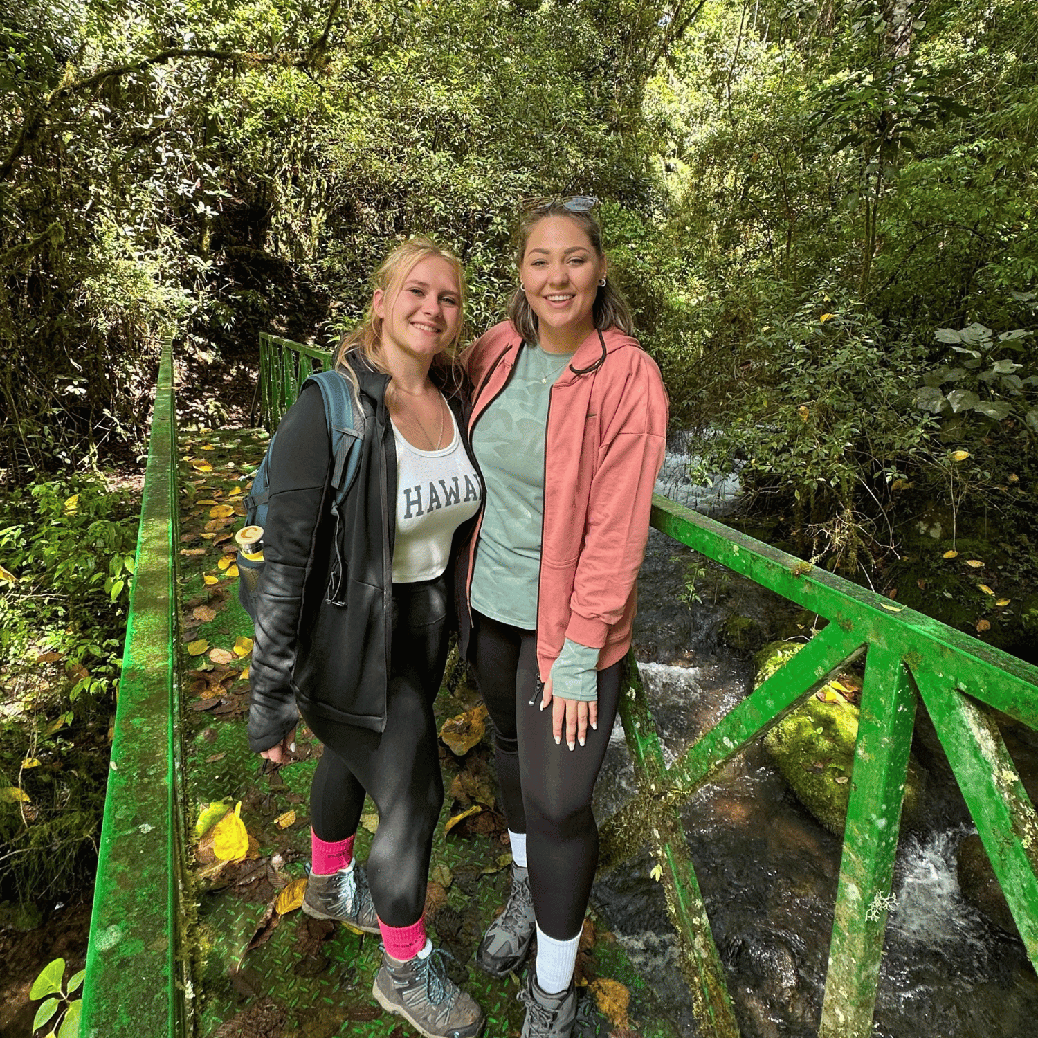 Anika und Isa stehen auf einer grünen Metallbrücke über einem Bach, umgeben von dichtem Wald und Moos.