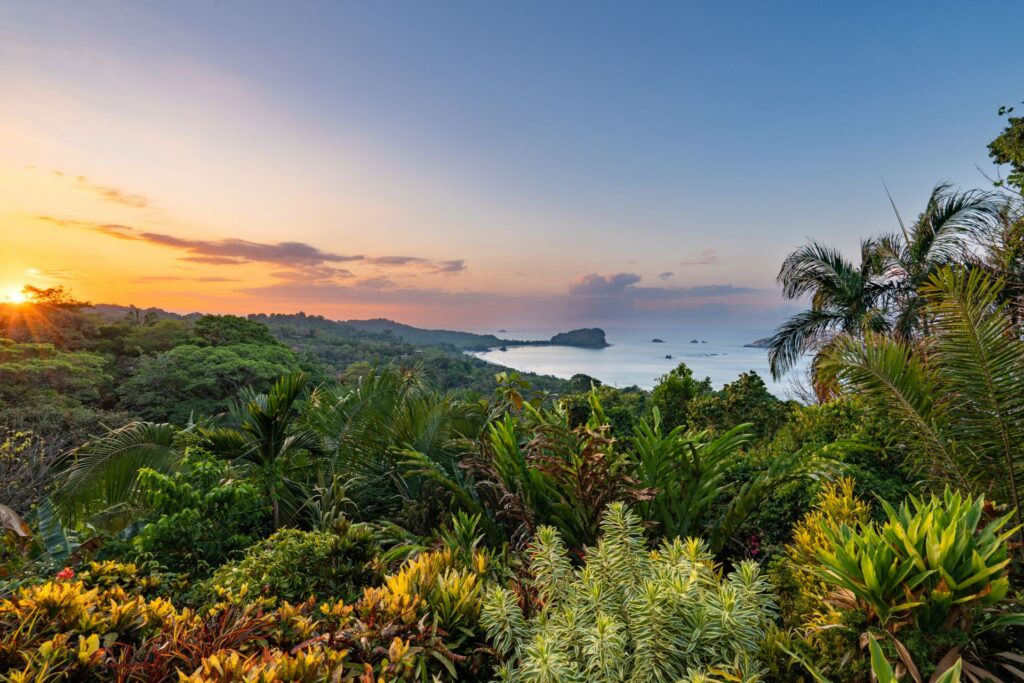 Blick auf üppige tropische Vegetation in Costa Rica mit Palmen und bunten Pflanzen, dahinter das Meer und ein Sonnenuntergang am Horizont.