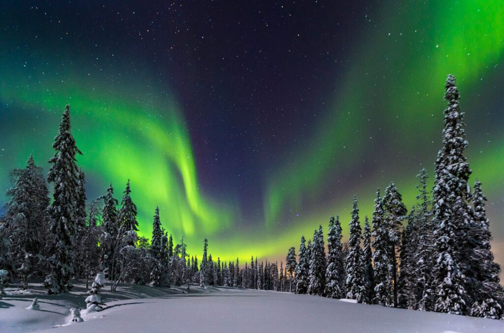 Polarlichter über einer verschneiten Waldlandschaft in Lappland, Finnland. Grüne Lichtbögen tanzen am klaren Sternenhimmel über schneebedeckten Bäumen.