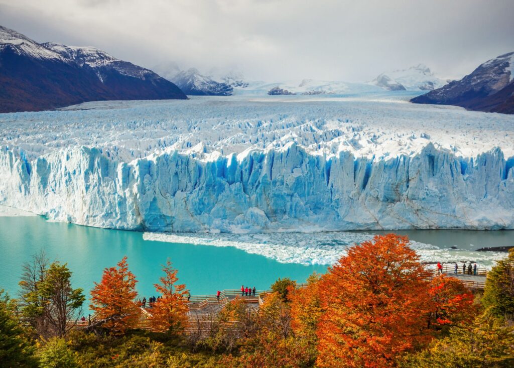 Der imposante Perito-Moreno-Gletscher in Patagonien, Argentinien, mit türkisfarbenem Wasser und herbstlich gefärbten Bäumen im Vordergrund.