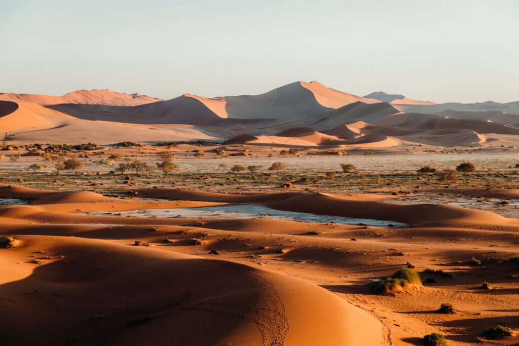 Weite Wüstenlandschaft in Sossusvlei, Namibia: sanfte Sanddünen im warmen Licht des Sonnenaufgangs, mit vereinzelter Vegetation im Vordergrund.