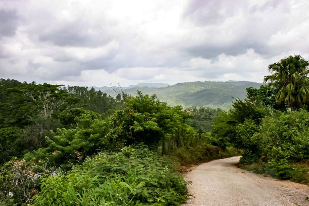 Eine schmale Landstraße führt durch dichte grüne Vegetation in eine hügelige Landschaft, während sich unter bewölktem Himmel weite Täler erstrecken.