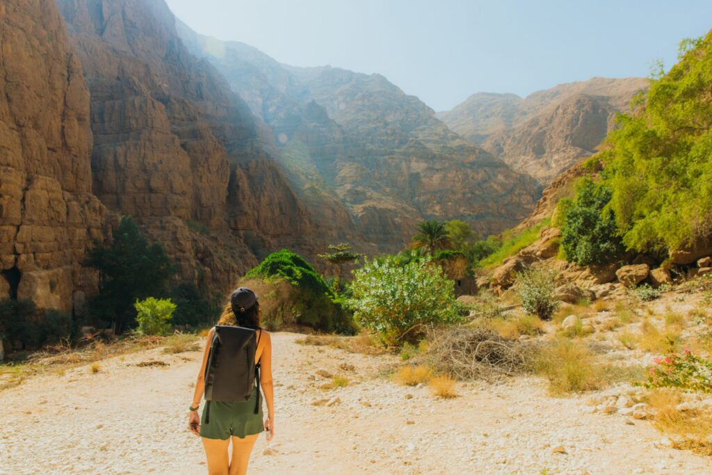 Person wandert durch eine sonnige, felsige Berglandschaft mit grünen Pflanzen und hohen Canyonwänden in einer ruhigen, natürlichen Umgebung.