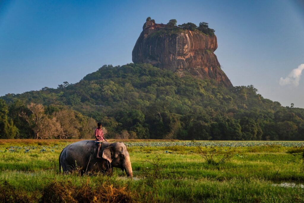 Ein Elefant bewegt sich durch eine grüne Ebene vor einem imposanten Felsenmonolith, umgeben von dichter Vegetation und klarem Himmel.