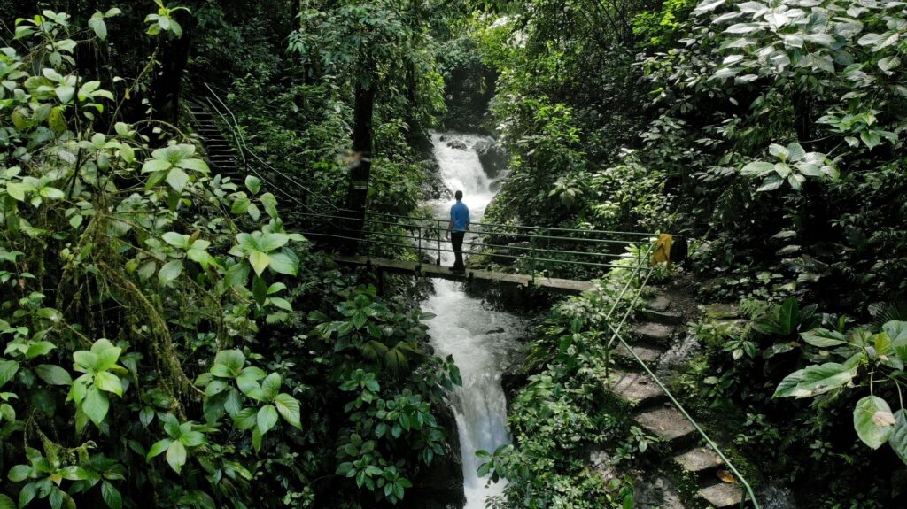 Eine Person steht auf einer Brücke im Rainmaker Park und überquert einen Flussbach durch dichte Bäume aus dichtem Tropenwald in Costa Rica, Mittelamerika.