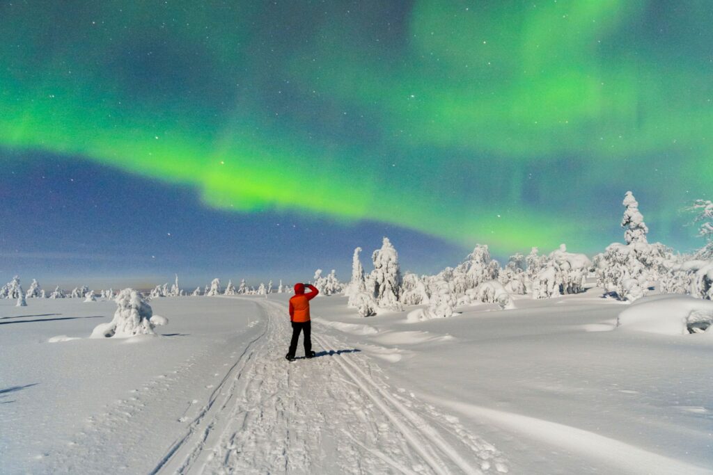 Schneeschuhwanderer auf einer Winterspur im gefrorenen Wald unter dem grünen Schein der Nordlichter, Muonio, Finnland, Finnisch-Lappland, Skandinavien