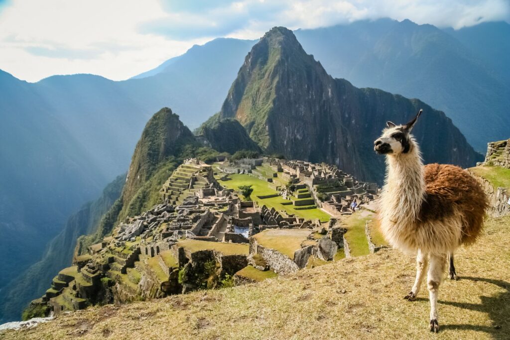 Ein Lama steht auf einer Anhöhe vor alten Steinruinen und hohen Berggipfeln, während Sonnenstrahlen die weite, historische Landschaft beleuchten.