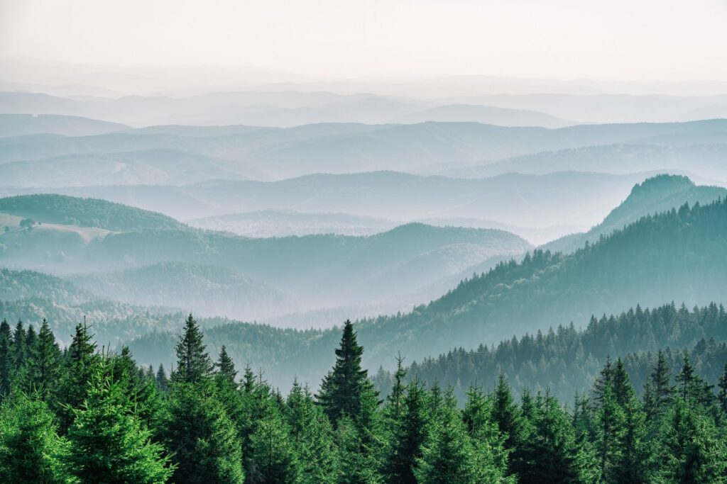 Eine weite Landschaft aus sanften, nebelverhangenen Hügeln und dichtem Nadelwald erstreckt sich bis zum Horizont und erzeugt eine ruhige, atmosphärische Szenerie.