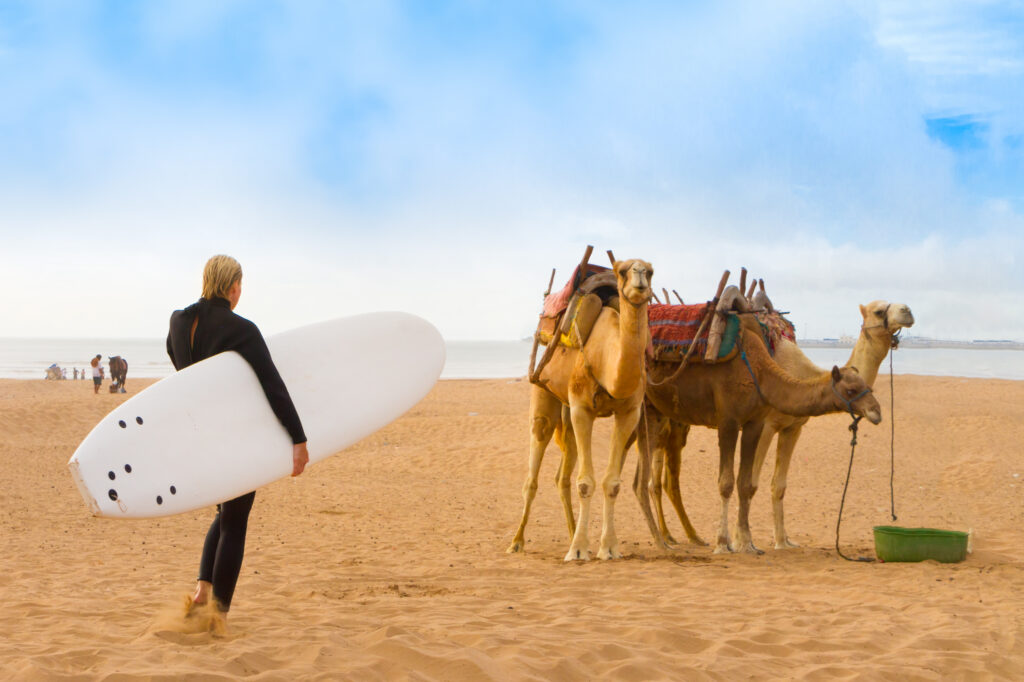 Person mit Surfbrett steht an einem Sandstrand und blickt auf mehrere bepackte Kamele nahe dem Meer.