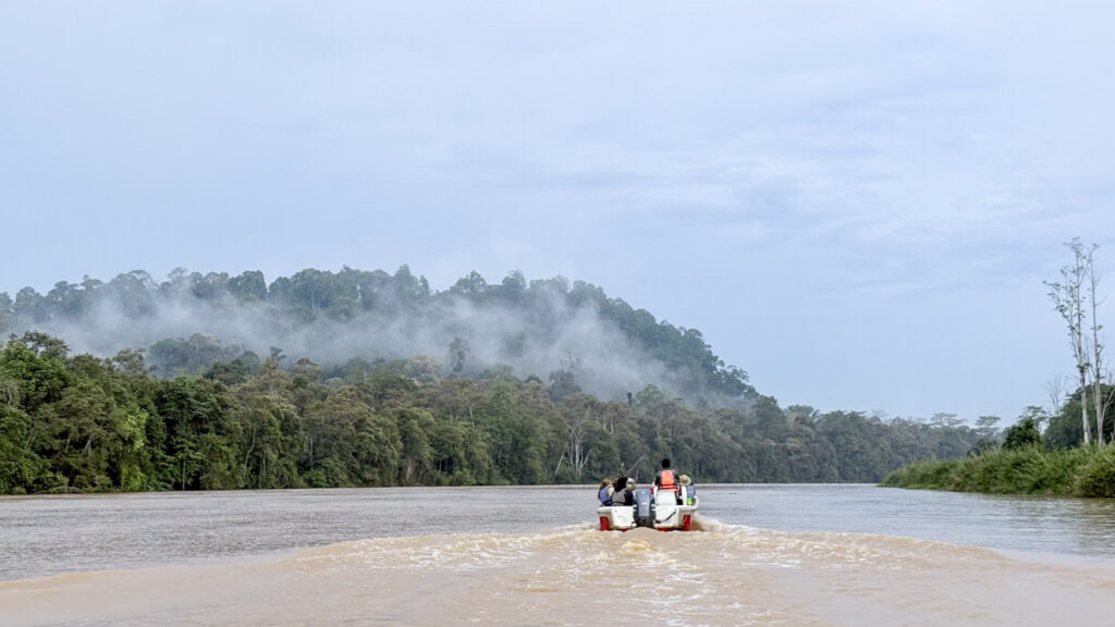 Kinabatangan Bootsafari Malaysia