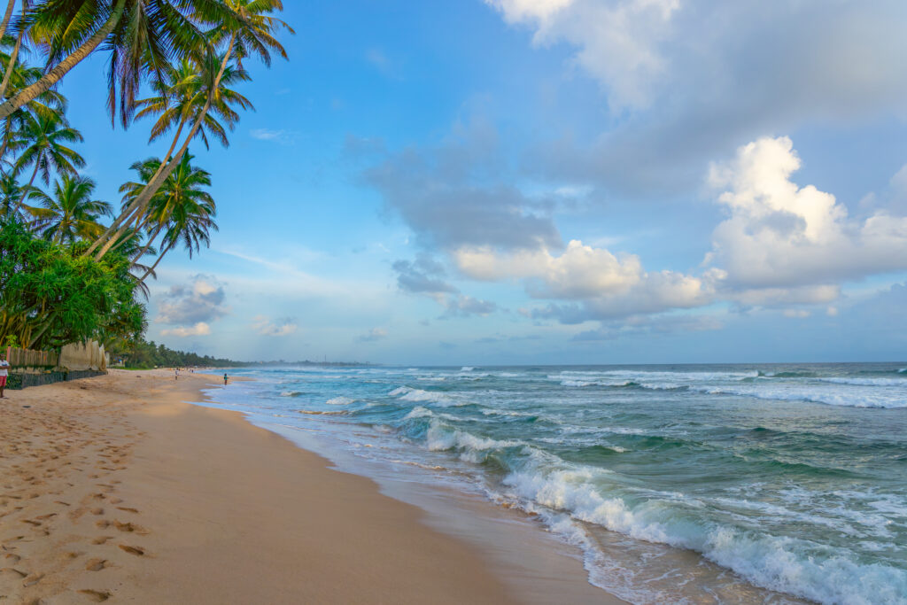 Tropischer Strand in Sri Lanka mit Palmen, sanften Wellen und blauem Himmel, beliebte Kulisse zum Surfen an der Küste des Indischen Ozeans.