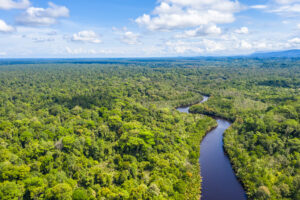 Luftaufnahme eines gewundenen Flusses, der sich durch dichten, unberührten Regenwald in Borneo schlängelt, unter einem teils bewölkten Himmel.