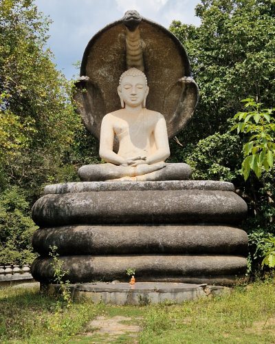 Große Buddhastatue mit Kobra im Hintergrund, umgeben von tropischer Vegetation in Sri Lanka.