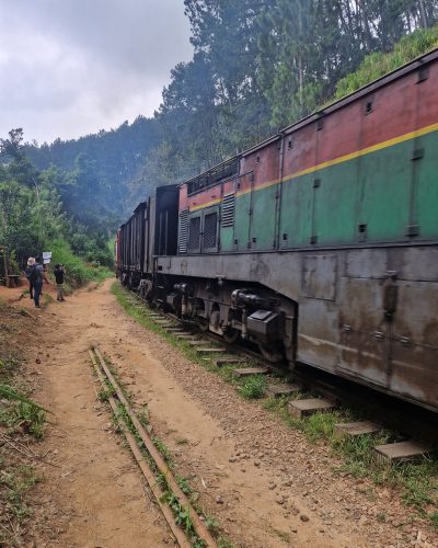Zug auf einer Bahnstrecke im grünen Hochland von Sri Lanka, umgeben von Wäldern und Wanderwegen.