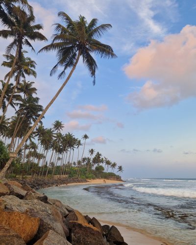 Kokospalmen, Felsen und Wellen prägen die Küstenlandschaft von Sri Lanka.