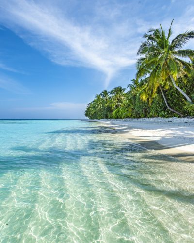 Malediven tropischer Sandstrand mit Palmen