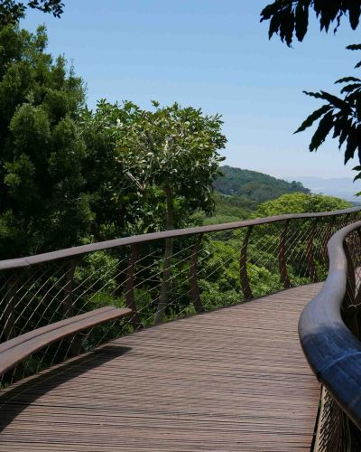 Kirstenbosch Garden - The Canopy Walkway