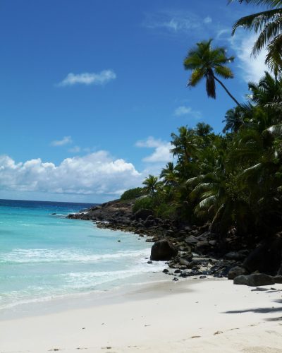 Weißer Sandstrand mit türkisfarbenem Meer, Granitfelsen und Palmen an der Küste von North Island auf den Seychellen.
