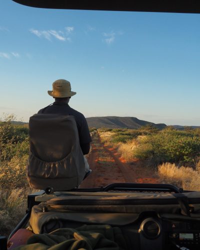 Blick aus einem Safarifahrzeug auf eine rote Sandpiste im Tswalu Kalahari Reserve.